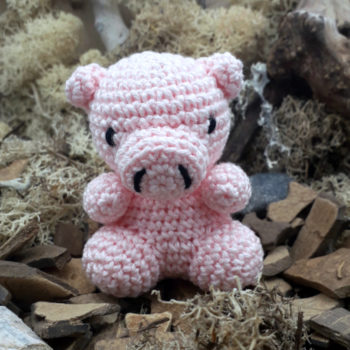 Mini Cochon